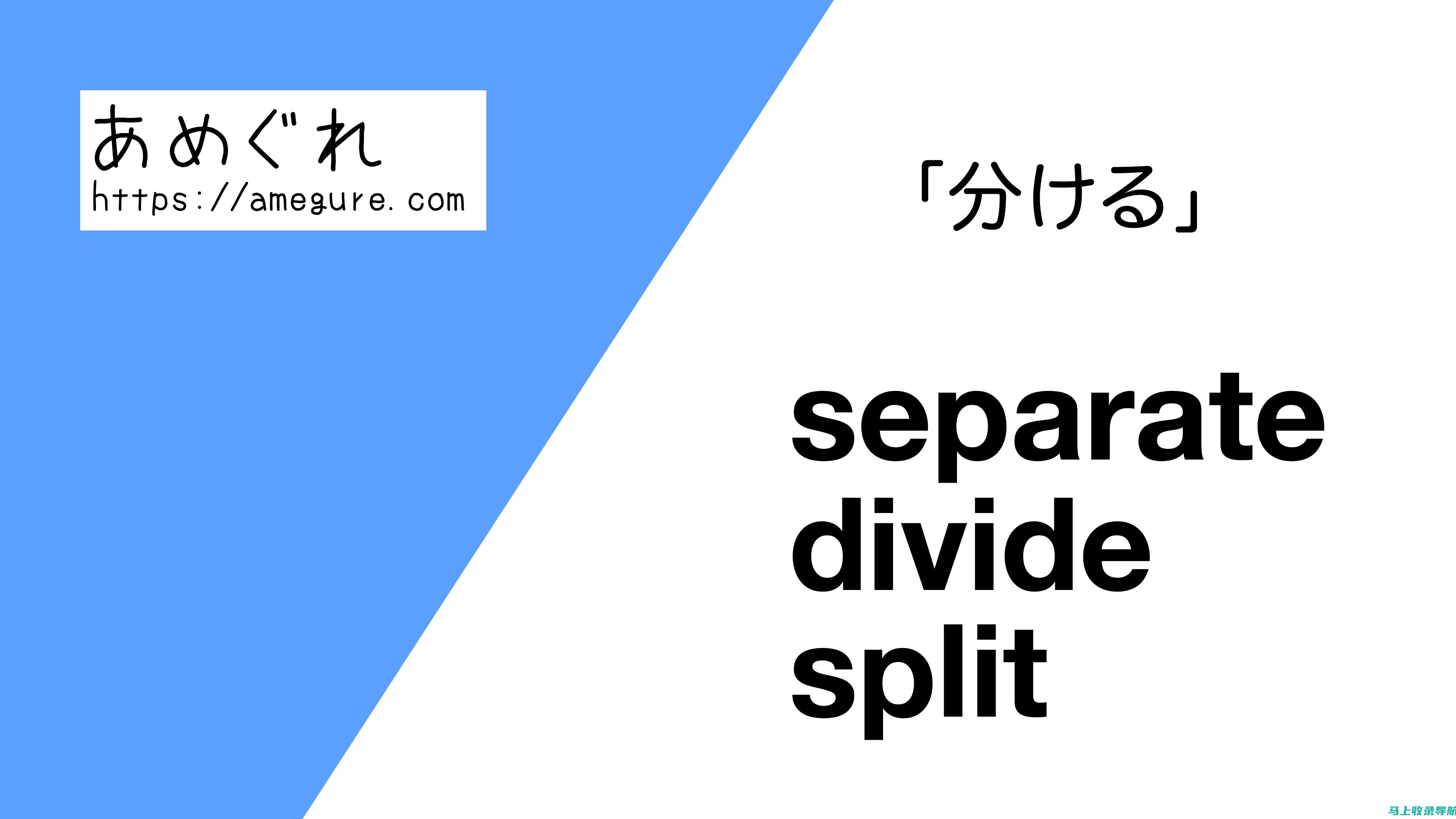 Separate词汇深度解析：不同语境下的含义与用法